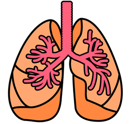 肺と肺がん